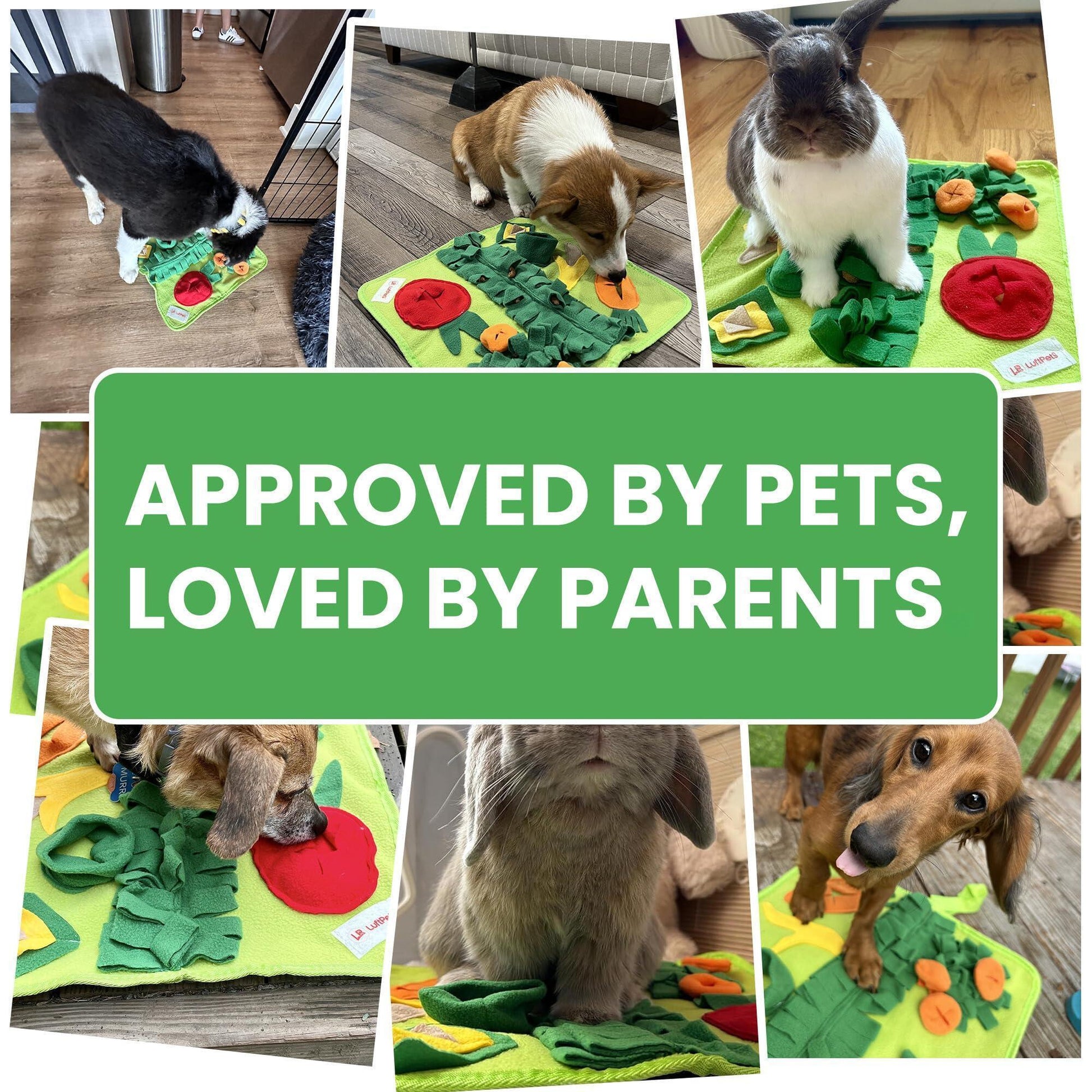 Soft Foraging Snuffle Mat for Small Pets - 19x19 Inch Washable Anti-Slip Puzzle Toy for Dogs, Cats, Rabbits, Guinea Pigs, and Hamsters (Medium)